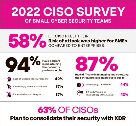 PNG CYNET CISO Survey of Small Cyber Security Teams SMES IG 072622 sm[93]