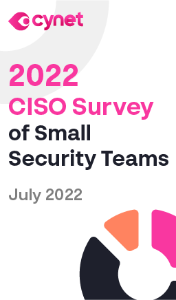2022_CISO_Survey_of_Small_Security_Teams_LP_Image_256x435